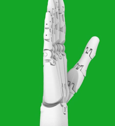 large (2).jpg Robotic Hand