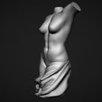 09.jpg Female Torso 3D Model