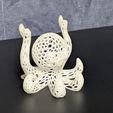 2026-08-07-23-09-13.jpg Octopus Stand voronoi
