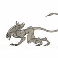 drone_3.jpg Alien Drone Xenomorph