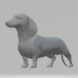 2.png Dachshund Dog 3D print model
