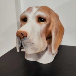 WhatsApp-Image-2023-09-28-at-17.12.04.jpeg Fichier STL Buste de Beagle・Design pour imprimante 3D à télécharger
