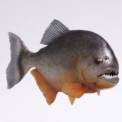 piranha.jpg Download STL file A piranha Fish | you all must have need this one :0 • 3D printable template, CADEN