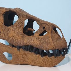 Indoraptor-skull-model-3d-print-1.jpg Indoraptor skull 3d print 30cm