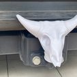 IMG_0920.jpg Tow-Hitch Cow Skull