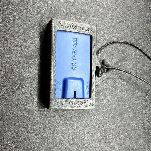 IMG_2842.jpeg 保護ケース付きTELEPASSホルダー