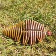 1000026179.jpg SPINECRAWLER 3.7" Ribbed Creature Bait Injection Mold