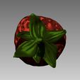 strawberry2.jpg Fresa