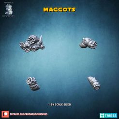 resize-diapositiva2.jpg Maggots (Pre-supported)