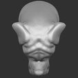 19.jpg English Mastiff head for 3D printing