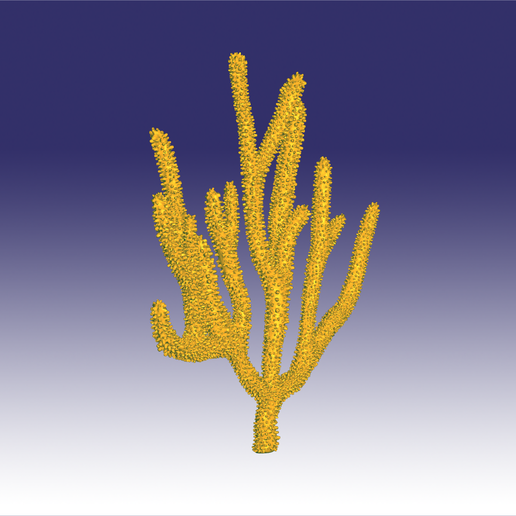 purple gorgonia coral2.png Download OBJ file Purple gorgonia coral • 3D printable design, Dsignrcmc
