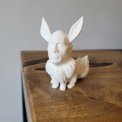 Eevee La Roca Pokemon Evolución