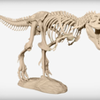 Capture d’écran 2017-09-05 à 17.52.25.png T-Rex Skeleton