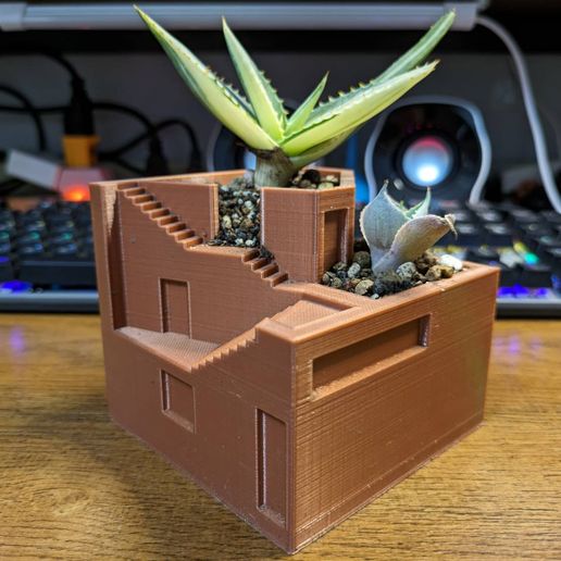 house shelter d-succulent plant pot design - 3D model önizlemesi