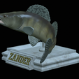 zander-open-mouth-tocenej-14.png fish zander / pikeperch / Sander lucioperca trophy statue detailed texture for 3d printing