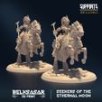 resize-001-2.jpg Seekers of the Ethernal Moon ALL VARIANTS - MINIATURES 2023