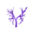 STL - Bronchi.stl 3D Model of Cardiovascular System, Thorax and Abdomen