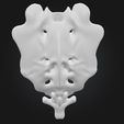 1.jpg 3D Model of Sacrum