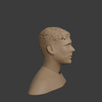 TOMA-3.png Claudio Braga Bust - Portuguese 3D Talent