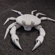 flexi print crab smiling