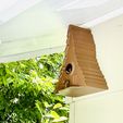 Maison des oiseaux de la forêt profonde