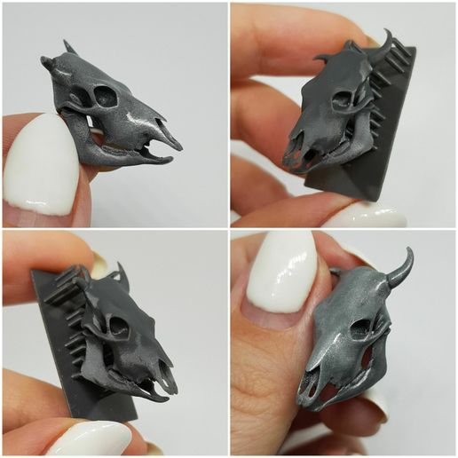 20230624_235708.jpg Coquille de vache