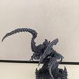 FREE SPACE MANTIS OCTOPUS
