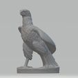 2.png Eagle 3D Model 3D Model 3D print model