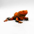 IMG_4139.jpg Crapaud grenouille articulé Flexi print-in-place sans support