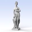 Venus-Medici.jpg Nereid