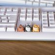 Dogys_keycaps-10.jpg Doggies Tastenkappen - Mechanische Tastatur