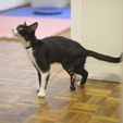 exo_3D_protesisMINA_5.jpg CAT PROSTHESIS _ PARTIAL TARSAL PROSTHESIS