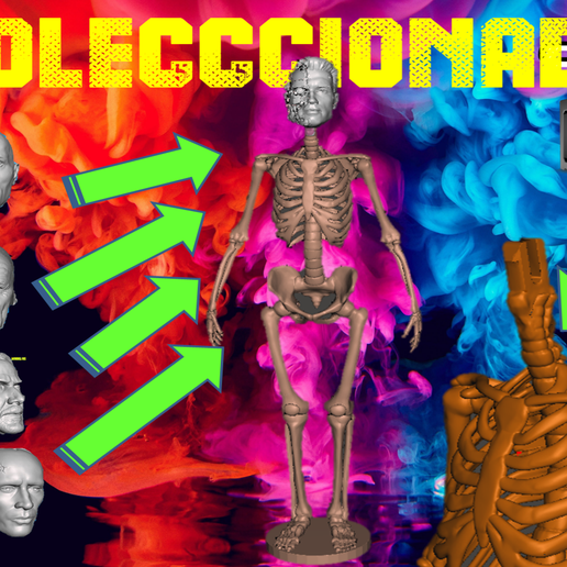 PORAT SKELETON HEADS 3D model