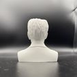 IMG_5956.jpg SHAH OF IRAN Mohammad Reza Pahlavi 3D-printed bust The Persian Shah