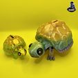 IMG_23322.jpg Cute Turtle Piggy Bank - Money Box  - No Supports - Flexi - almost Print in Place