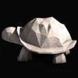 Low-Poly-Turtle0002.jpg Low Poly Turtle