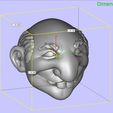 Dimensions (mm) Cartoon Head