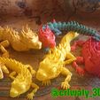 DSC_8880.jpg Articulated Real Dragon - FLEXI PRINT-IN-PLACE