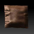 Pillow1.png Pillow