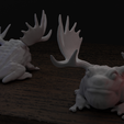 Horned_frogCamera.png Horned frog