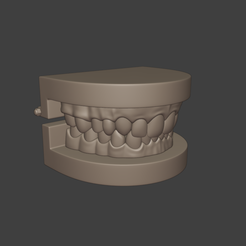 image_2024-03-14_15-02-05.png Dental teeth