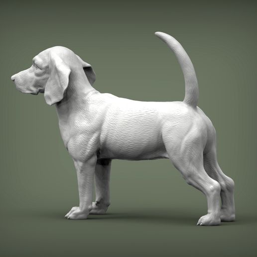 beagle5.jpg Archivo 3D Modelo de impresión 3D de Beagle・Objeto imprimible en 3D para descargar, akuzmenko