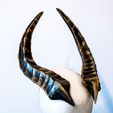 IMG_9865-Edit.jpg Horns collection 2