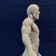 Cuerpo_Anatomia_Lat_.jpg Male body anatomy