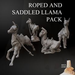 roped-saddled-llama-pack.jpg Roped and saddled llama pack