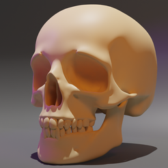 1.png STL-Datei Schädel・3D-druckbares Modell zum herunterladen