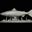 salmo-salar-1-17.png Atlantic salmon / salmo salar / losos obecný fish underwater statue detailed texture for 3d printing