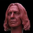 Screenshot_1.jpg Severus Snape Head