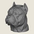 Pit-Bull-Dog-Face-Vase-01.jpg Vaso com cara de cão Pit Bull Modelo 3D pronto para impressão
