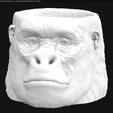 Screenshot from 2020-04-05 09-18-16.png Vase - Ape Head